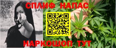 гидропоника Гусиноозёрск