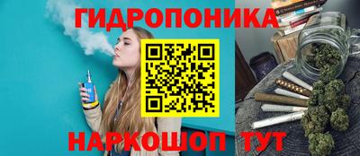 гидропоника Гусиноозёрск