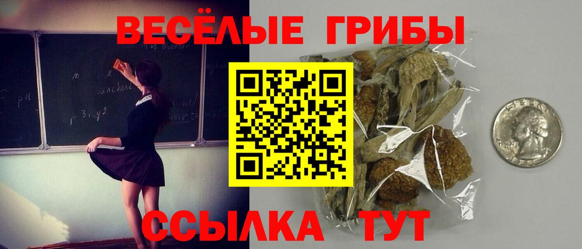 Галлюциногенные грибы Magic Shrooms  купить наркоту  Сатка  Галлюциногенные грибы мухоморы  Вход с VPN 